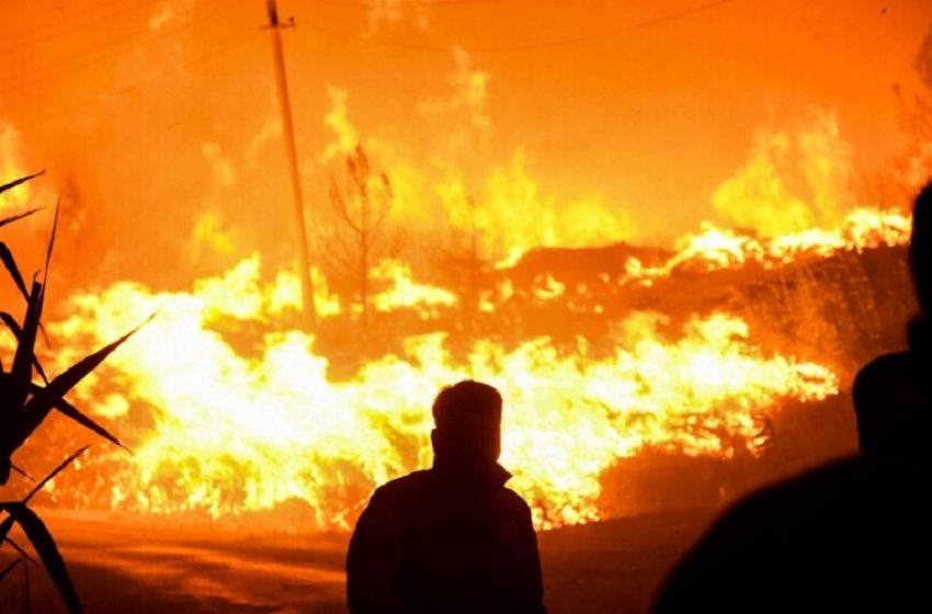  Τουρκία: Στους 6 οι νεκροί από τις δασικές πυρκαγιές – Εκκενώθηκαν σπίτια και ξενοδοχεία στο Μπόντρουμ