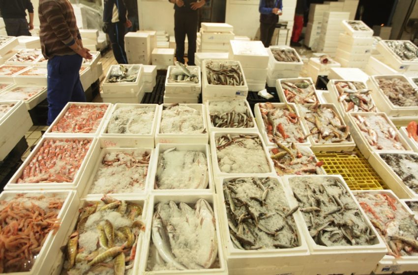  Κατασχέθηκαν 535 κιλά ψάρια στην ιχθυόσκαλα της Θεσσαλονίκης
