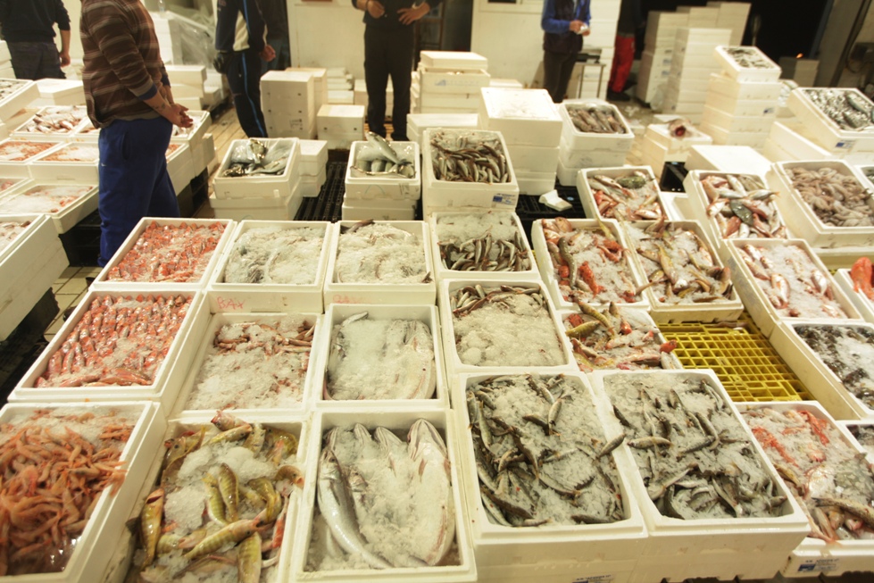 ΙΧΘΥΟΣΚΑΛΑ