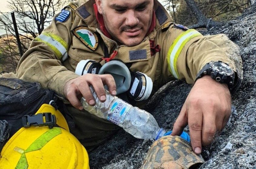  VIRAL: Η φωτογραφία του πυροσβέστη με την διψασμένη χελώνα στην Πάτρα