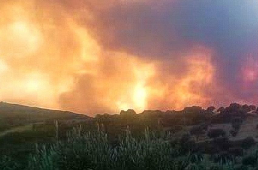 Πολύ υψηλός κίνδυνος πυρκαγιάς σήμερα – Οι επικίνδυνες περιοχές