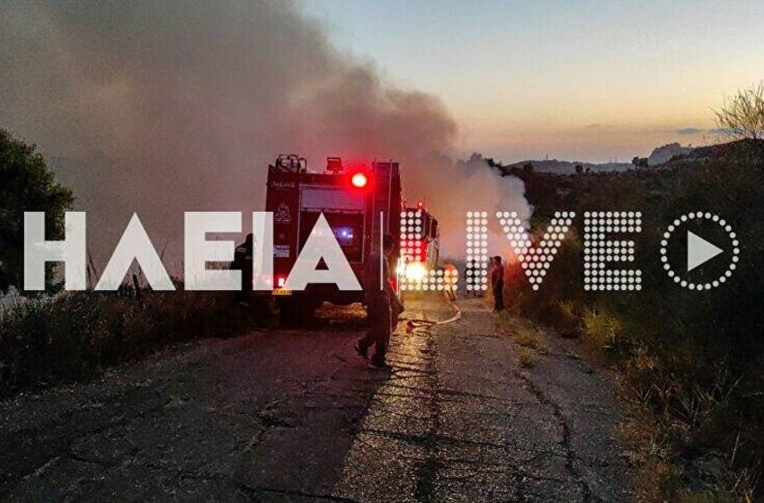  Μήνυμα στο 112 στη φωτιά στην Ηλεία – Ολονύχτια μάχη με τις φλόγες (vid)