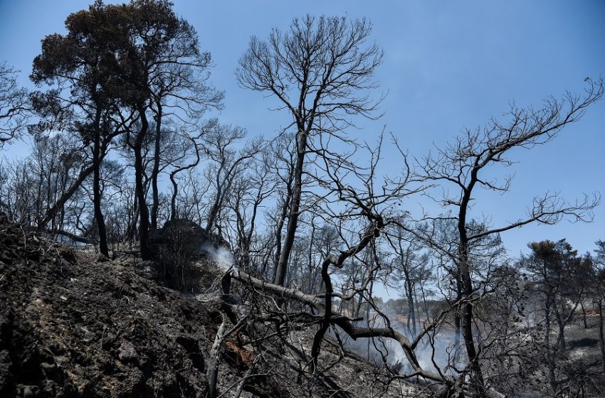  ΚΚΕ: Αμεση καταγραφή των ζημιών στην Αιγιαλεία και αποζημίωση των πληγέντων