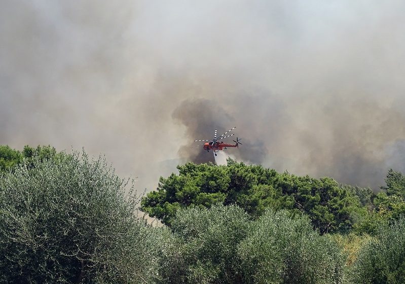  Νέα φωτιά στα Κριεζά της Εύβοιας – Καίει ανεξέλεγκτα