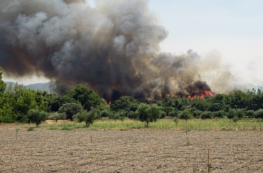  Πολύ υψηλός κίνδυνος πυρκαγιάς την Τρίτη σε πολλές περιοχές της χώρας