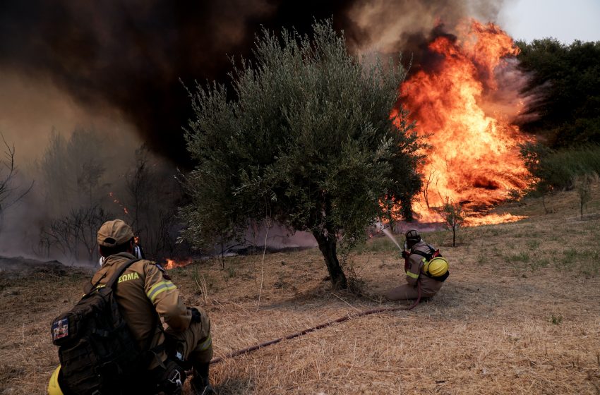  Βίντεο Ντοκουμέντο: Η φωτιά της Ηλείας από ψηλά