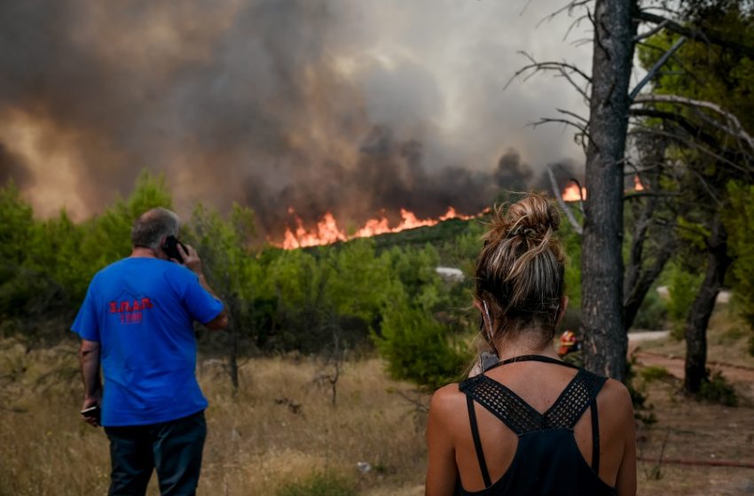  Ηλεία: Μεγάλο πύρινο μέτωπο στην περιοχή Νεμούτα