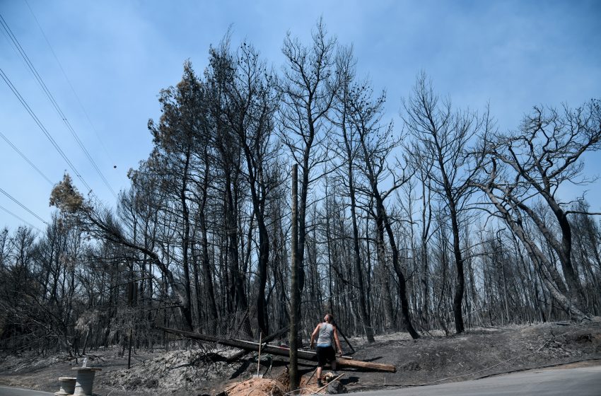  Meteo: Τρίτη στη Μεσόγειο η Ελλάδα στις καμένες εκτάσεις -Φέτος ξεπερνούν τα 930.000 στρέμματα