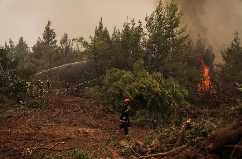  Στη φυλακή οι τρεις πρώτοι κατηγορούμενοι για εμπρησμούς στην Αττική