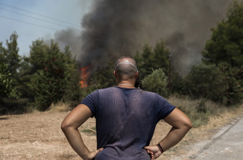  Απάτες με χρήματα στο όνομα της αλληλεγγύης για πυρόπληκτους