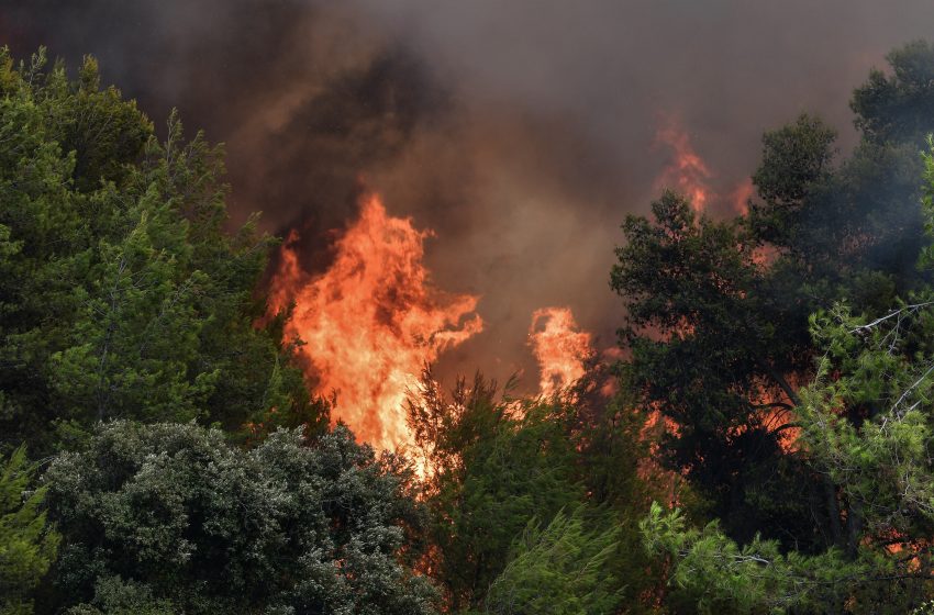  Φωτιά σε δασική έκταση στη Φθιώτιδα