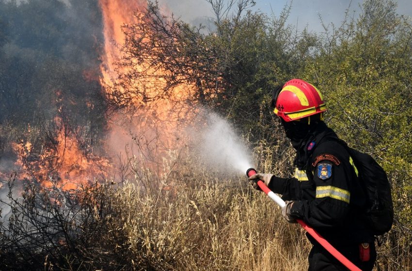  Φωτιά σε δασική έκταση στο Λεόντιο της Νεμέας