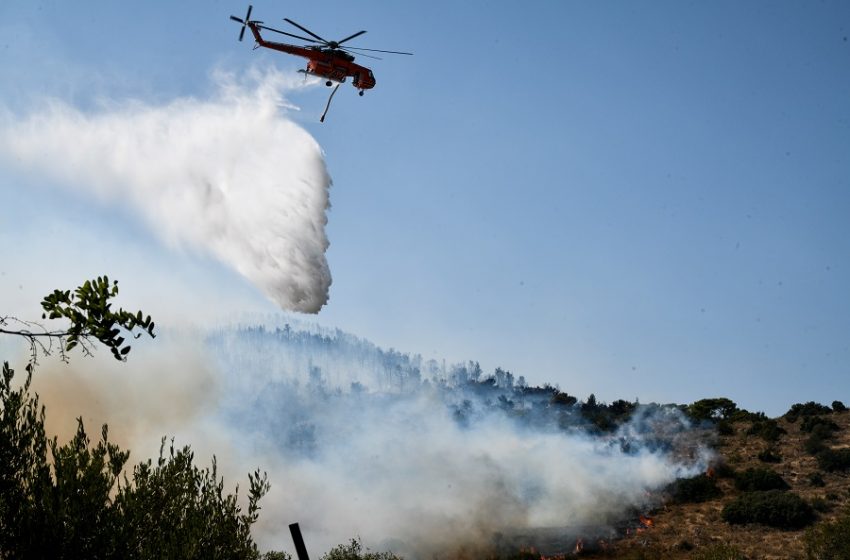  Ρέθυμνο: Πυρκαγιά στην περιοχή Ροδάκινο – Επιχειρούν 27 πυροσβέστες και δύο ελικόπτερα