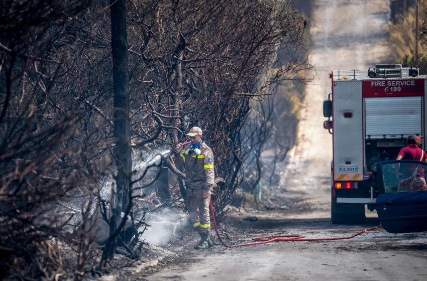  Φωκίδα: Περιορίστηκε η πορεία της φωτιάς σε Κροκί και Λιβάδι