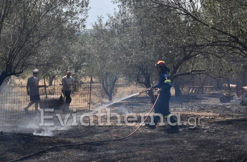  Εύβοια: Κάηκαν 150 σπίτια και 20.000 στρέμματα – Εκκενώνονται 3 ακόμα οικισμοί