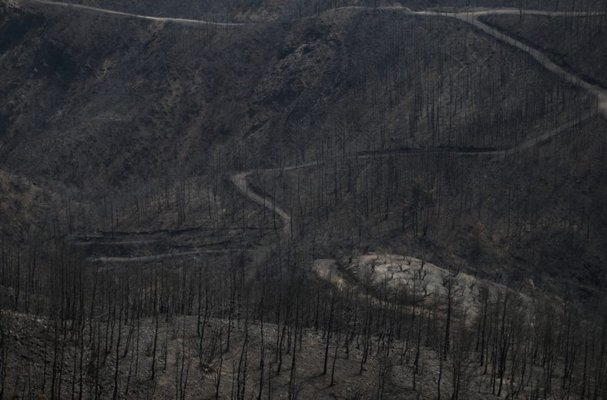  Εύβοια:Βιβλική καταστροφή – Πόνος και θλίψη στα αποκαΐδια (vid)