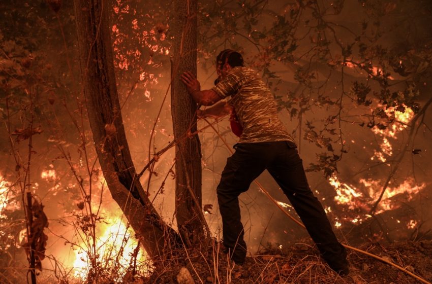  Γραμμή βοήθειας για τους πυρόπληκτους:1135