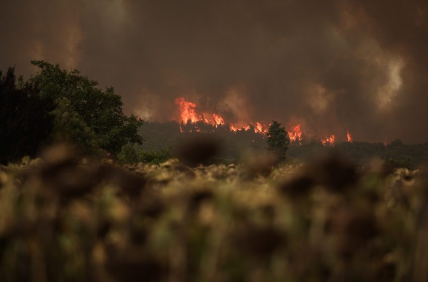  Εκκενώθηκε γηροκομείο στον Άγιο Στέφανο – Κικίλιας: 20 άτομα στο νοσοκομείο σε Αττική, Εύβοια