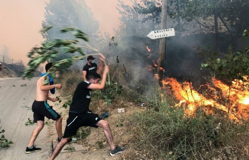  Σχεδόν 90 οι νεκροί από τις πυρκαγιές στην Αλγερία