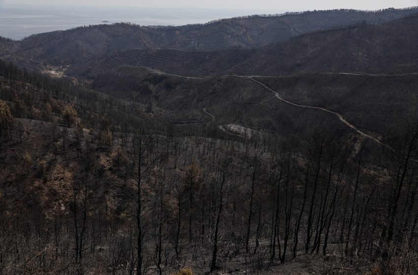  Ασύλληπτη η καταστροφή στην Εύβοια όπως την κατέγραψε drone  – Στατιστικά στοιχεία σοκ από το Ευρωπαϊκό Σύστημα  Πληροφόρησης (vid)