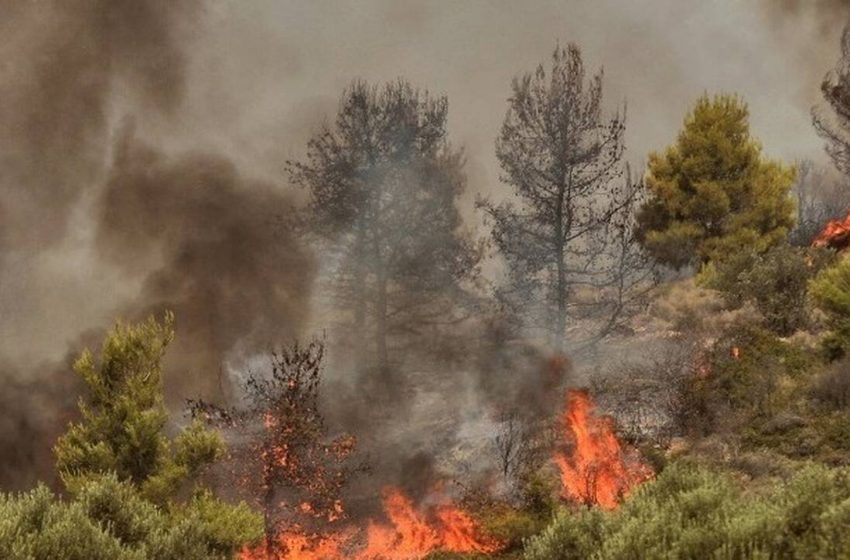  Φωτιά στην Ηλεία: Εισαγγελέας για τον ταξίαρχο της ΕΛΑΣ που ζήτησε “πολιτικό μέσο”