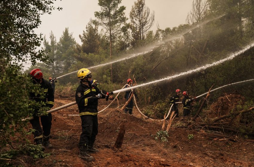  Νέα φωτιά στην Εύβοια έξω από τις Πετριές – Πνέουν ισχυροί άνεμοι