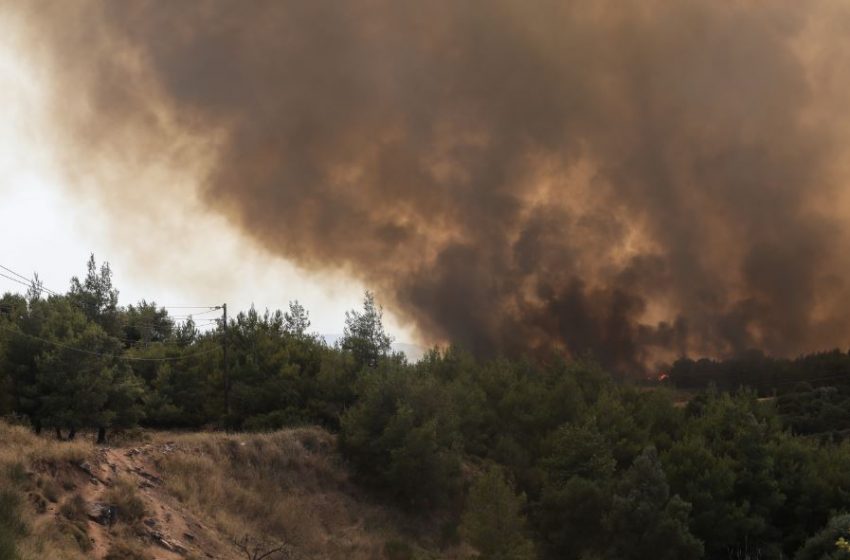  Νέο μήνυμα από το 112 για εκκένωση της Βαρυμπόμπης (vid)