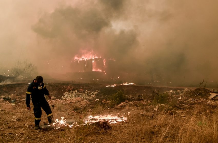  Άνοιξε η πλατφόρμα για την αποζημίωση πυρόπληκτων