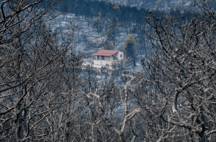  Ακραίος κίνδυνος πυρκαγιάς σε Αττική και Εύβοια