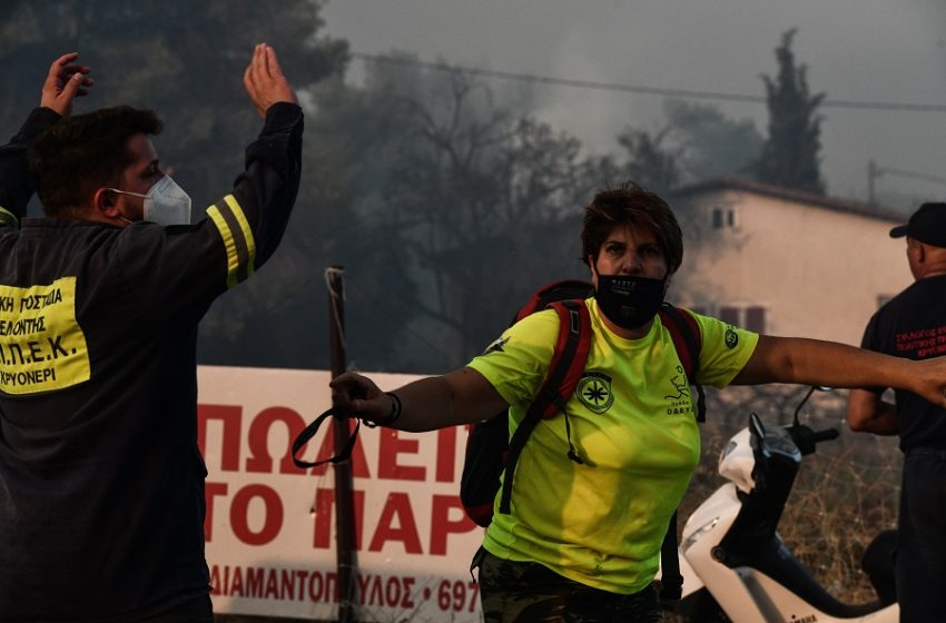  Αμηχανία για τον όλεθρο και φόβοι για χειρότερες μέρες – Στο κάδρο των ευθυνών του Μαξίμου Χρυσοχοΐδης, Χαρδαλιάς