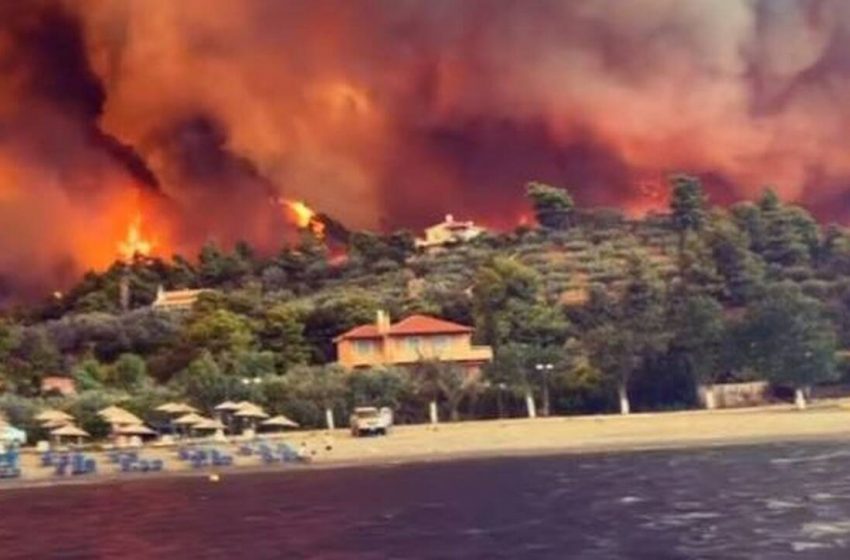  Τσιάρας: Κακούργημα ο εμπρησμός δάσους