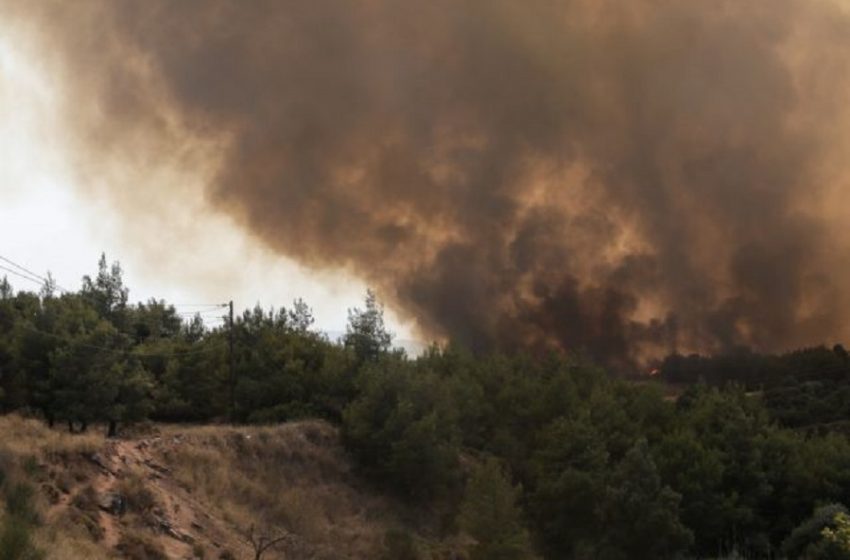  Ανεξέλεγκτη η φωτιά στην Κω – Εκκενώνονται περιοχές