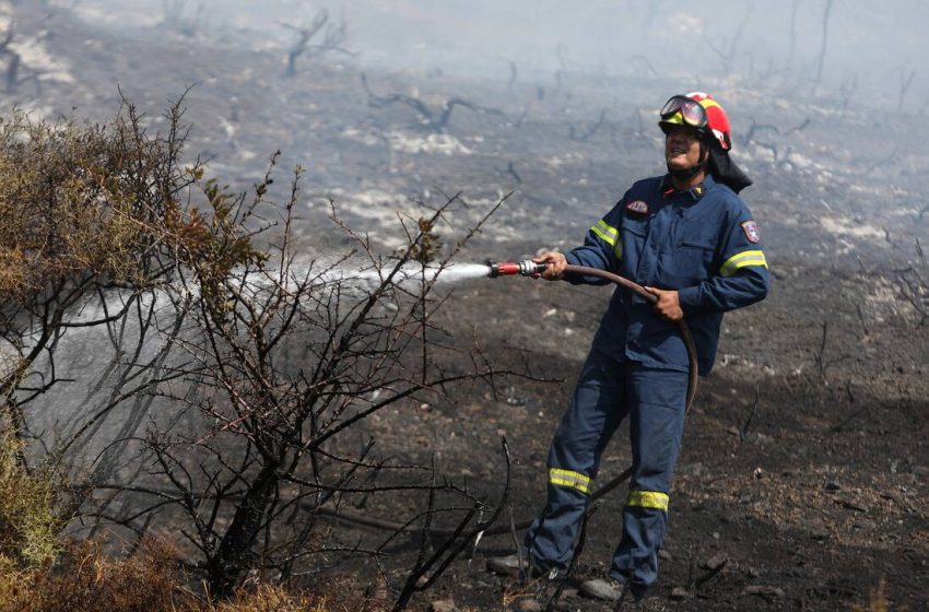  Φωτιά Μαρκόπουλο: Υπό μερικό έλεγχο το μέτωπο – Επί ποδός για αναζωπυρώσεις