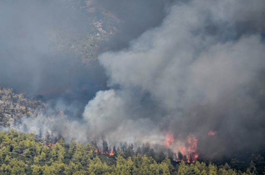  Καταγγελία κατοίκου στα Βίλια: Μόλις φεύγουν τα κανάλια, φεύγουν και τα πυροσβεστικά (vid)