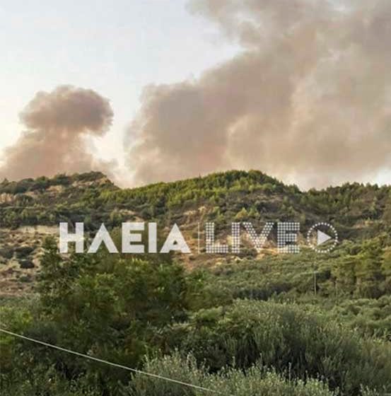  Αμαλιάδα: Νέα  φωτιά στην περιοχή της Κορυφής