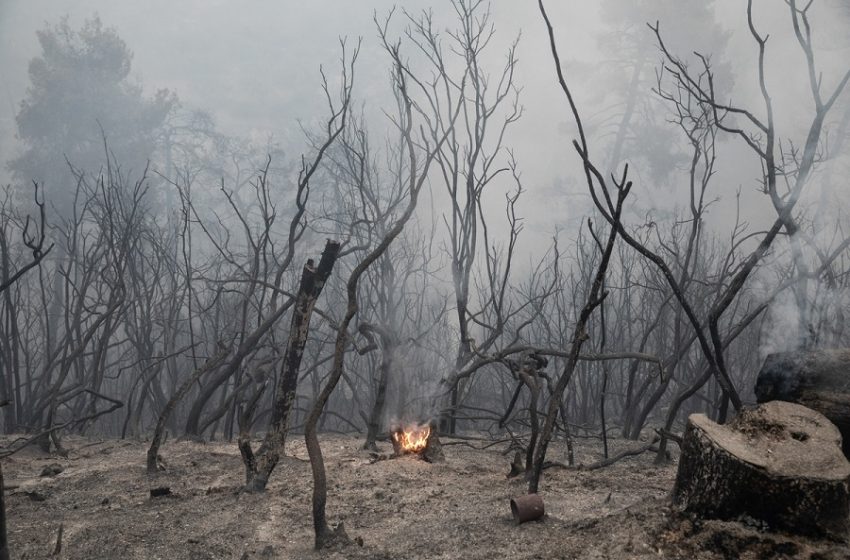  Αναρτήθηκε η ΚΥΑ: Με 718,65 ευρώ θα αποζημιωθούν οι εργαζόμενοι στις πυρόπληκτες περιοχές – Πώς υποβάλλεται η αίτηση