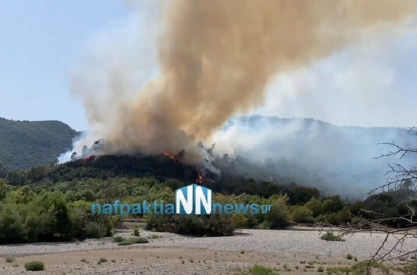  Φωτιά στο Παραδείσι Αιτωλοακαρνανίας -Εκκενώνονται προληπτικά οικισμοί