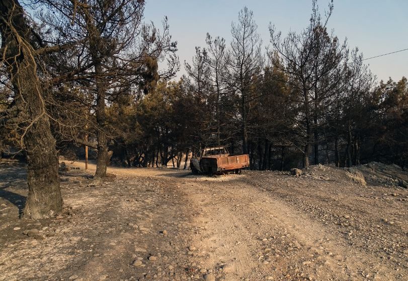  Ρόδος: Κλιμάκιο του ΕΛΓΑ καταγράφει τις ζημιές από τις πυρκαγιές