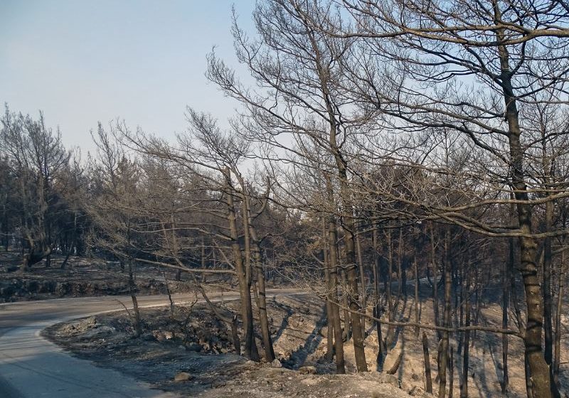  Ρόδος: Αναζωπύρωση στην περιοχή Καλαμώνας