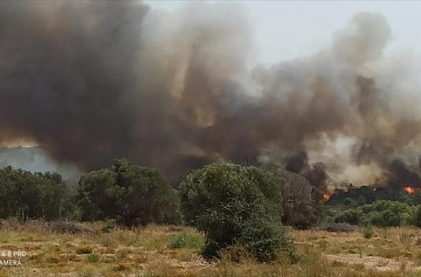  Μεγάλη φωτιά στη Ρόδο – Χωρίς ρεύμα και νερό πολλές περιοχές του νησιού