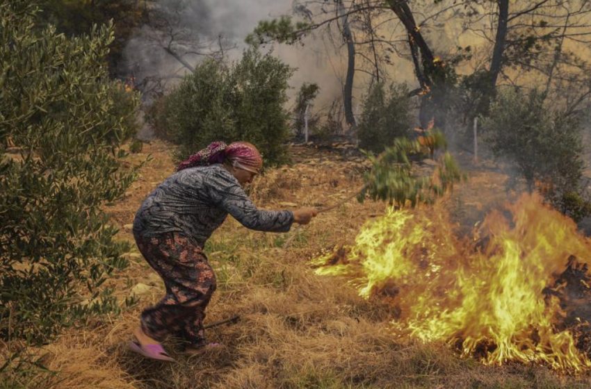  Τουρκία: Αναζωπυρώθηκε η φωτιά -Απειλεί θερμοηλεκτρικό σταθμό στο Μίλας