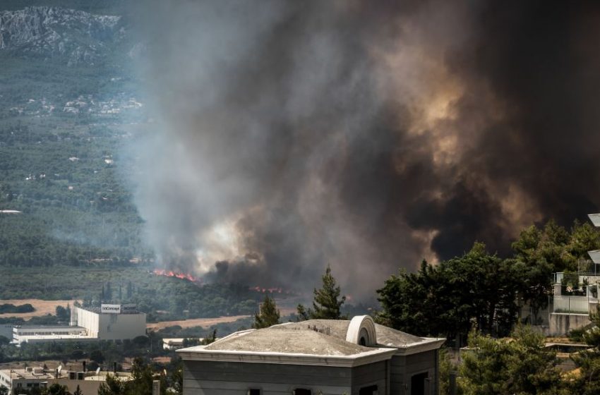  Ολοκληρώθηκε η απομάκρυνση των αλόγων που κινδύνευσαν από την πυρκαγιά στη Βαρυμπόμπη