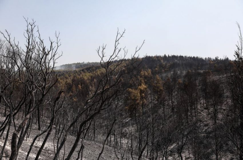  Σε όλα τα μεγάλα διεθνή ΜΜΕ ο πύρινος όλεθρος στην Βαρυμπόμπη