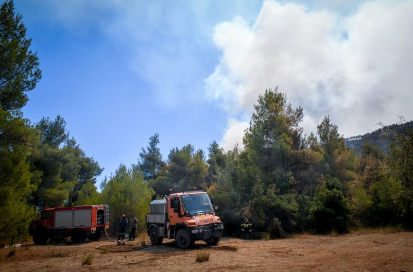  Νέα φωτιά κοντά στα Βίλια – Ξέσπασε στην περιοχή Κάζα