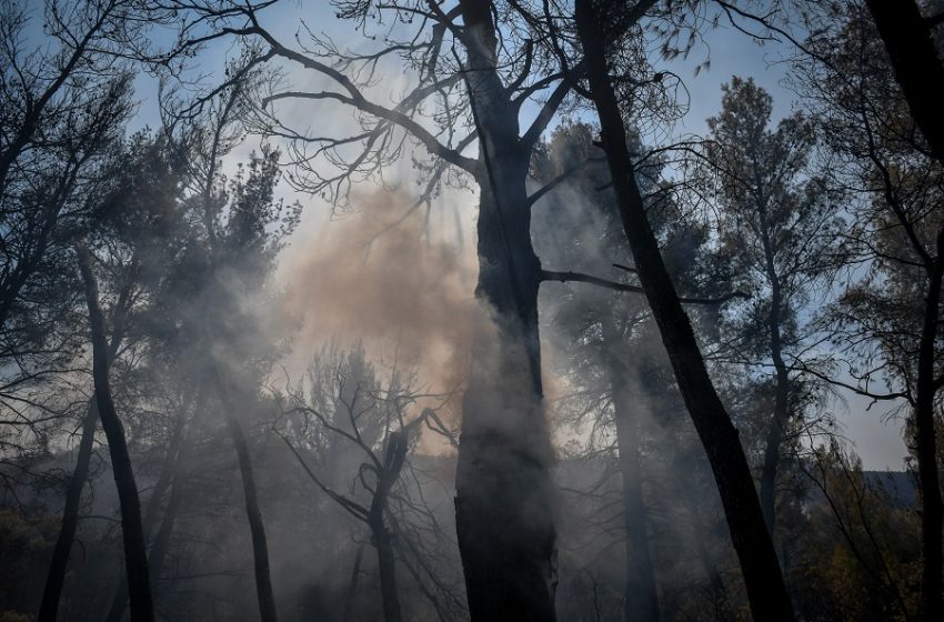  Αναζωπύρωση στα Βίλια: Η φωτιά πλησιάζει στα σπίτια – Εκκένωση ζητά η πυροσβεστική