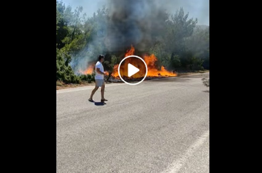  Bίντεο ντοκουμέντο: Έτσι ξεκίνησε η φωτιά στα Βίλια – “Θα μπορούσε να σβήσει σε 20 λεπτά” (vid)