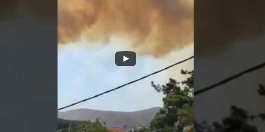  Πολύ άσχημη η κατάσταση στα Βίλια: Δύο ερασιτεχνικά βίντεο δείχνουν το μέγεθος της φωτιάς (vid)