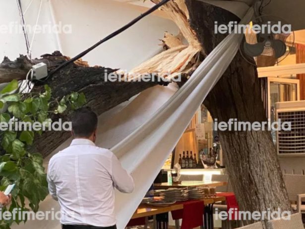  Έπεσε δέντρο σε εστιατόριο που έτρωγαν Μενέντεζ – Πάιατ στο κέντρο της Αθήνας (εικόνα)