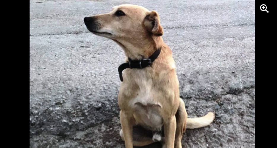 Καταγραφή 6 8