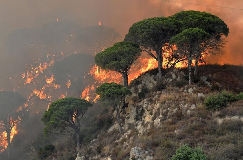  Ιταλία: Οι πυροσβέστες αντιμετώπισαν περισσότερες από 500 πυρκαγιές
